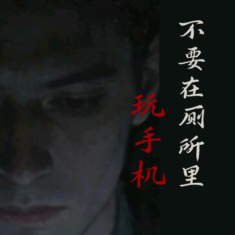 不要在厕所里玩手机 - show cover