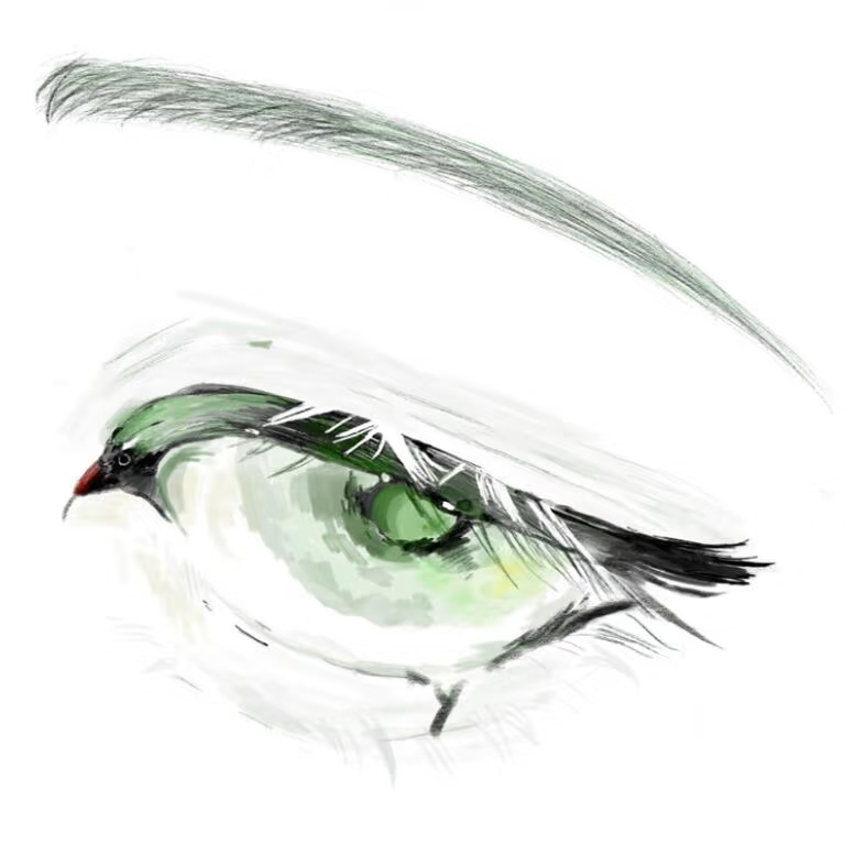 点星 - 佐伊 character avatar