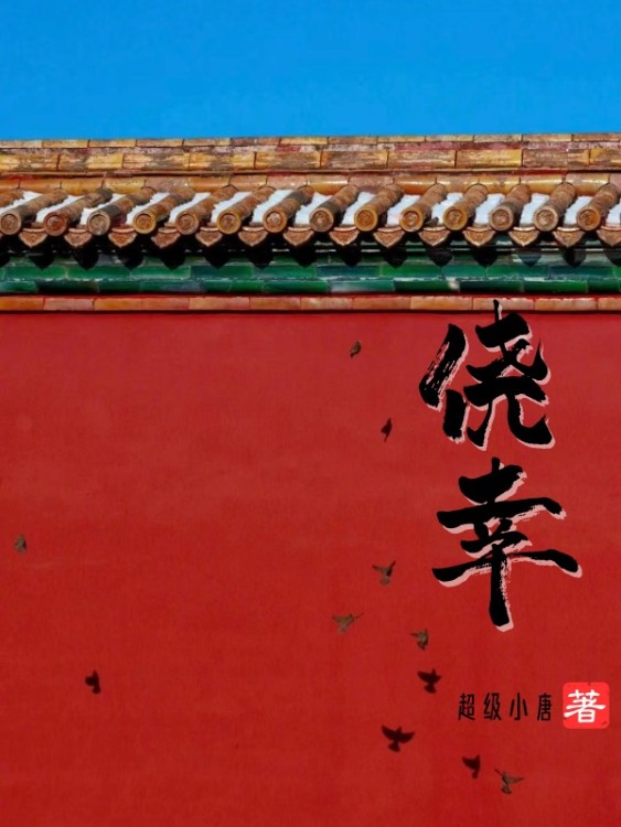 侥幸｜作品封面