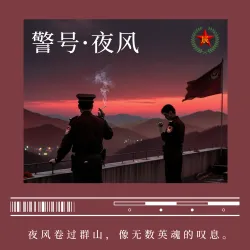 警号·夜风 - show cover