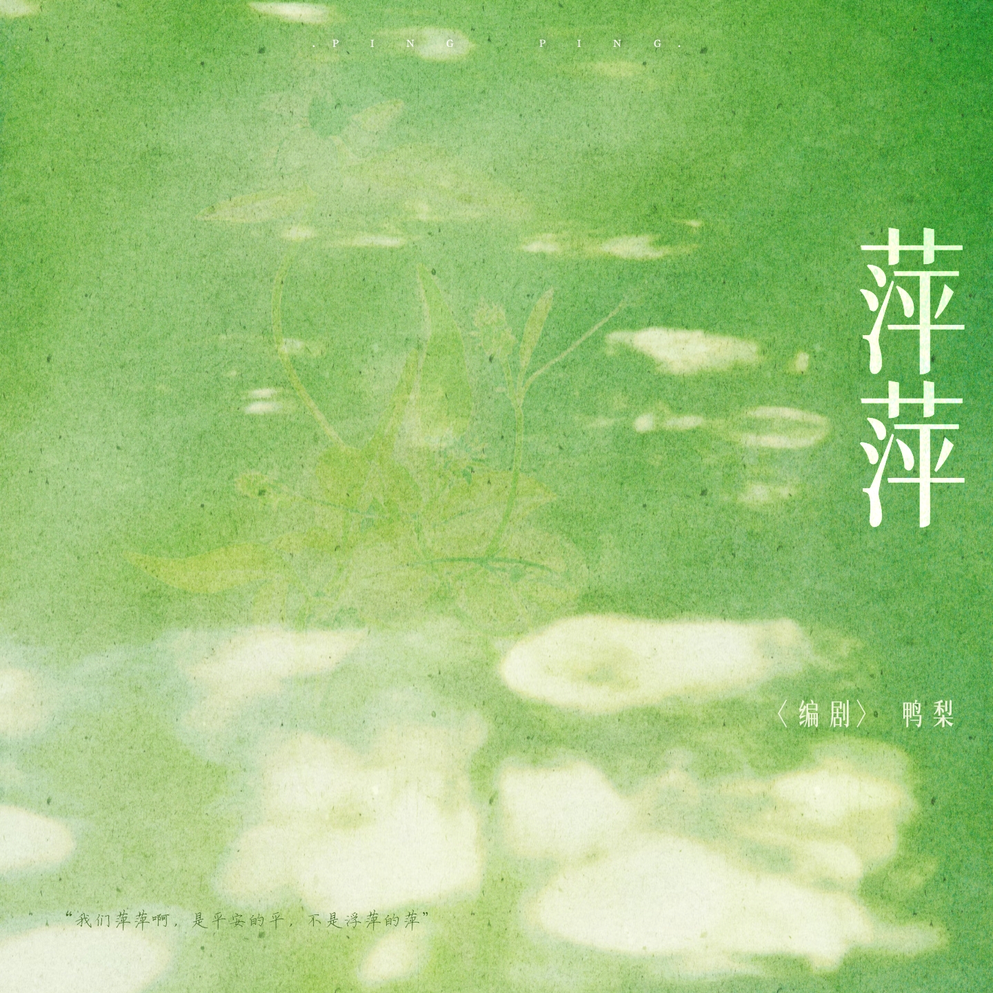 萍萍 - 萍萍 character avatar