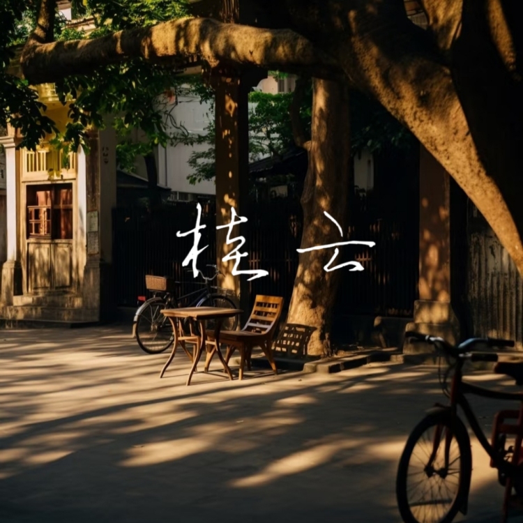 桂云 - show cover