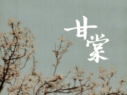 甘棠｜剧本封面