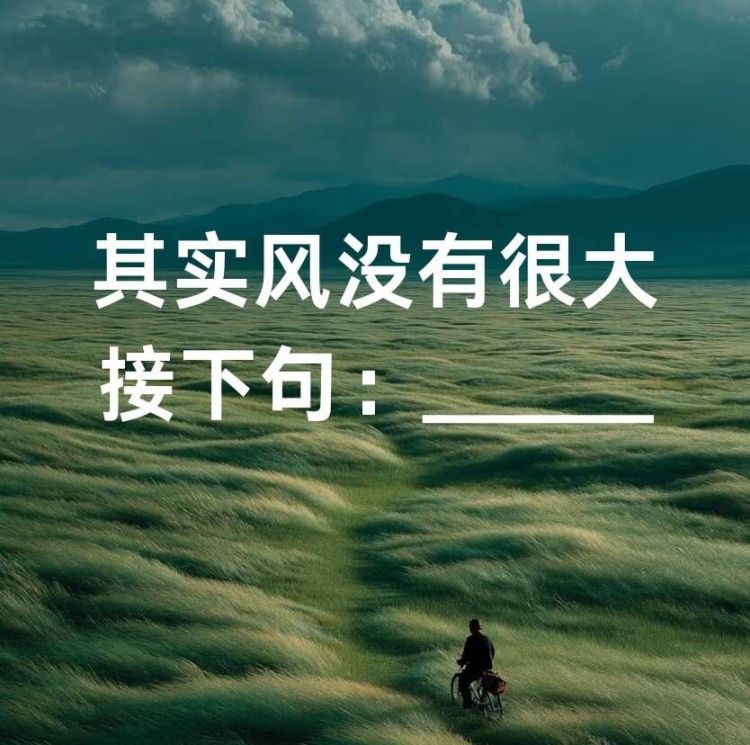 其实风没有很大 - show cover