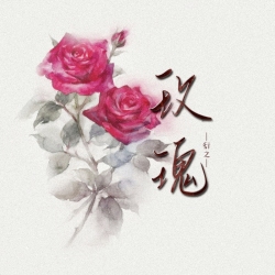 玫瑰 - script cover