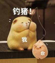 钓🐷 - script cover