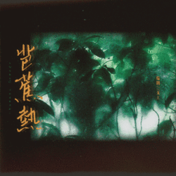 芭蕉热 - script cover