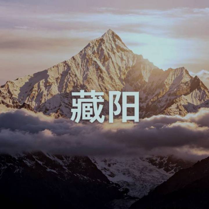 藏阳｜李离角色头像