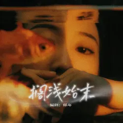 搁浅始末 - show cover