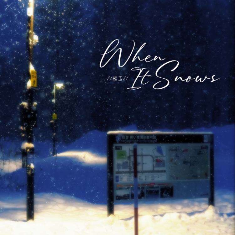 When It Snows - show cover