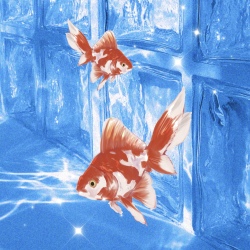 亮晶晶✨ - script cover