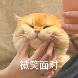 一个大聪明 - show cover