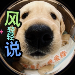 风轻轻说 - script cover
