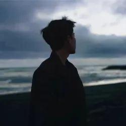 成年人的崩溃总在一瞬间 - show cover