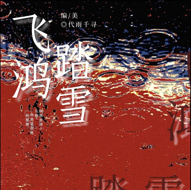 飞鸿踏雪｜作品封面
