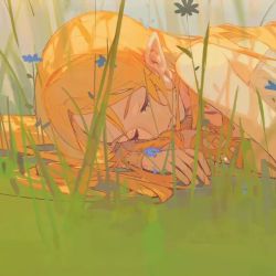 懒公主 - script cover