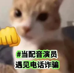 当配音员遇见电话诈骗（女生版） - show cover