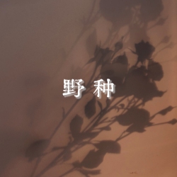 野 种｜剧本封面