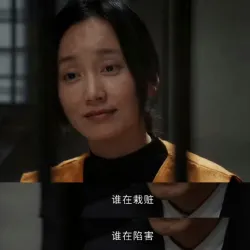 以法之名：谁在栽赃 谁在陷害 - show cover