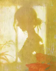 饲人 - show cover