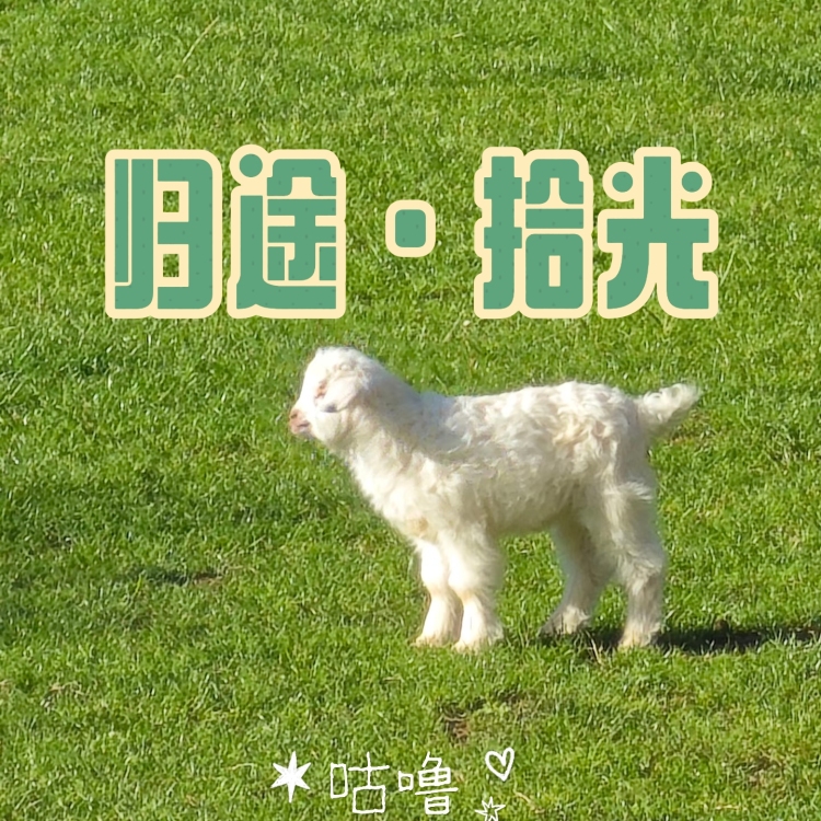 归途·拾光 - show cover