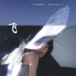 飞 - script cover