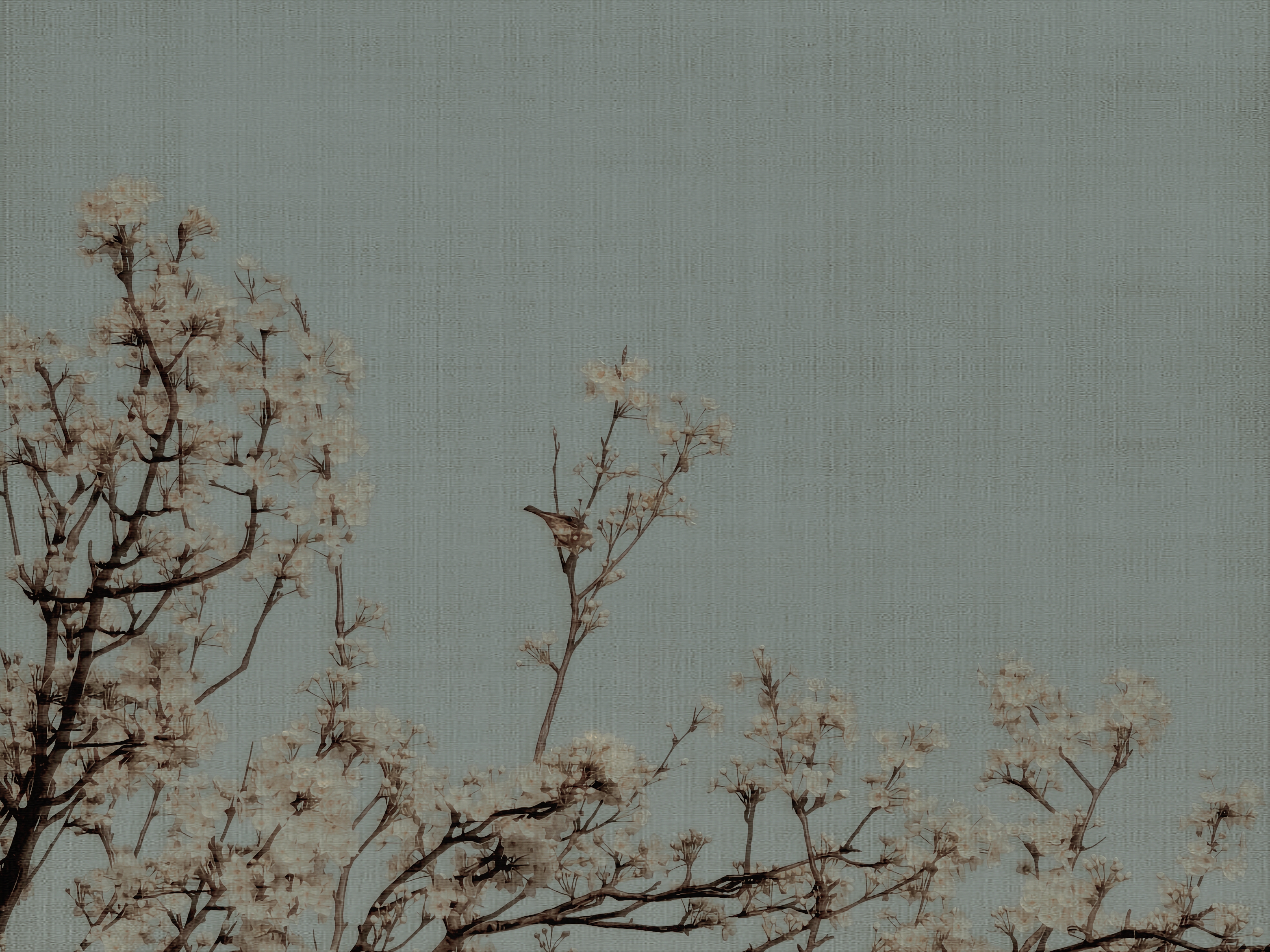 甘棠 - script image 2