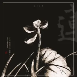 雾中花·莲｜作品封面