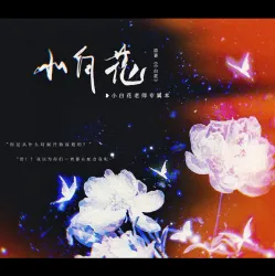 小白花 - show cover