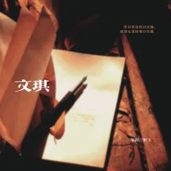 文琪 - show cover