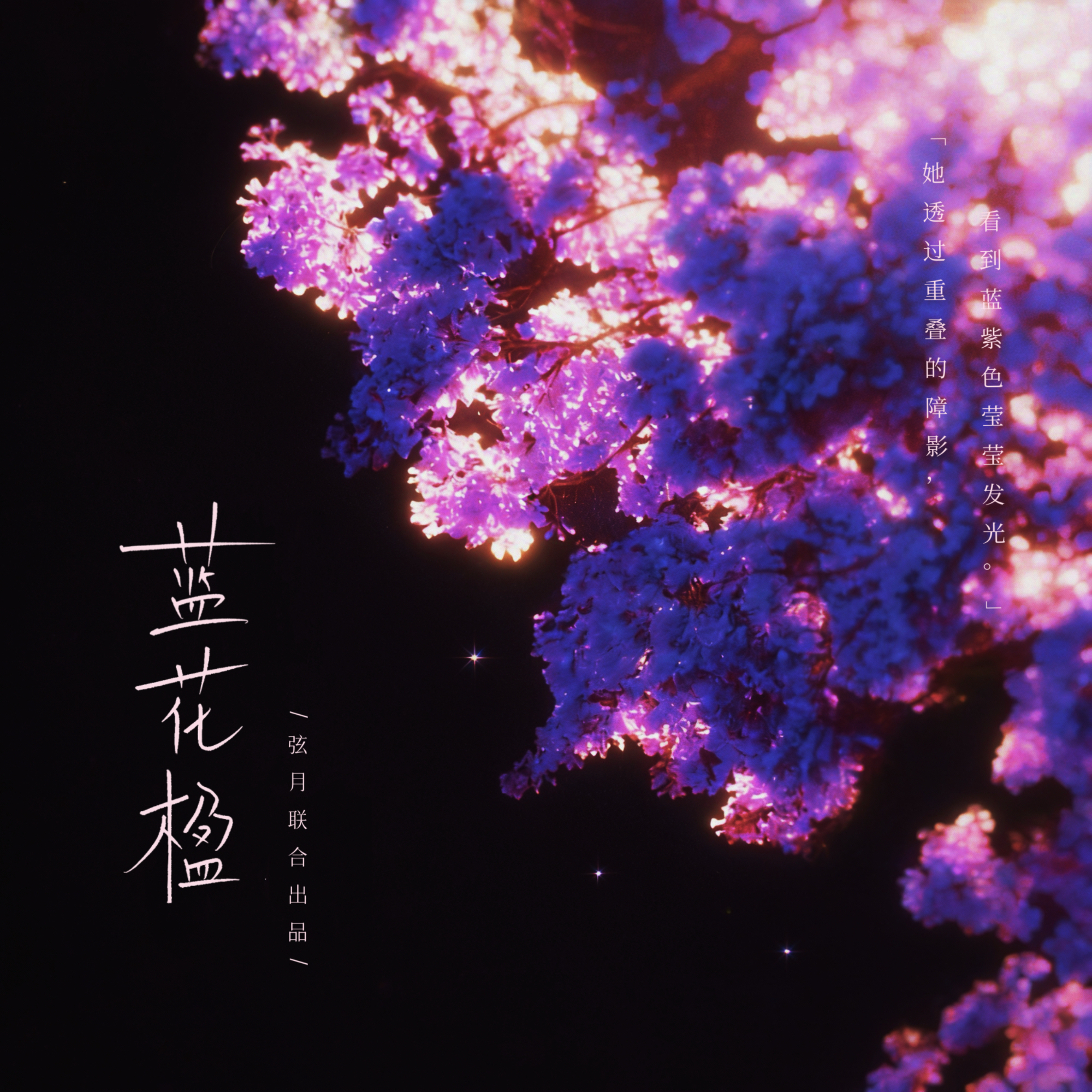 蓝花楹|剧本图片2