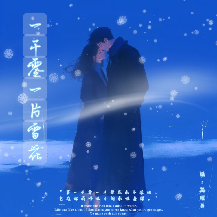 一千零一片雪花 - show cover