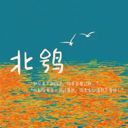 北鸮 - show cover