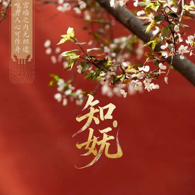 知妩 - show cover
