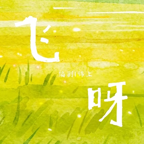 飞呀 - show cover