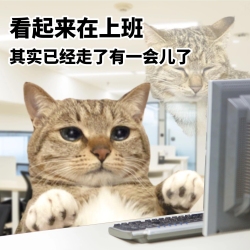 诡秘，你咋还不保养我呢？ - script cover