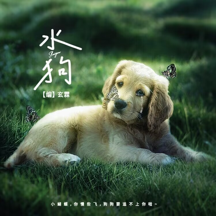 水狗｜作品封面