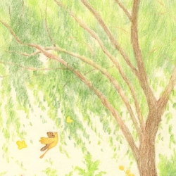 狐立立与树 - script cover