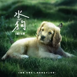 水狗｜作品封面
