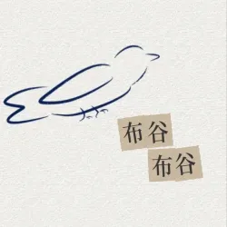 布谷 布谷 - script cover