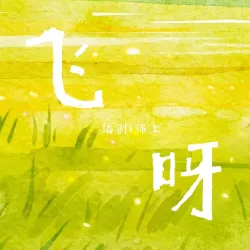 飞呀 - show cover