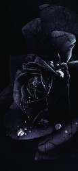 债 - script cover