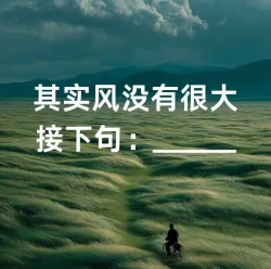 其实风没有很大 - show cover