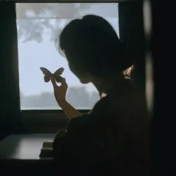 祸水 - show cover