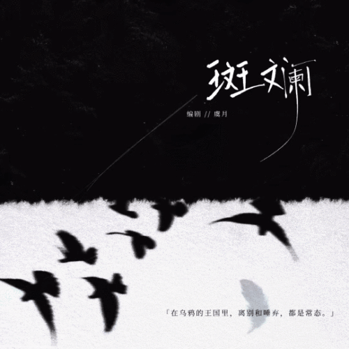 斑斓 - show cover