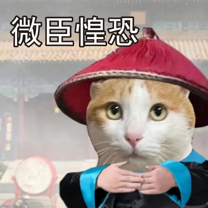 闺密！你完了！ - script image 2
