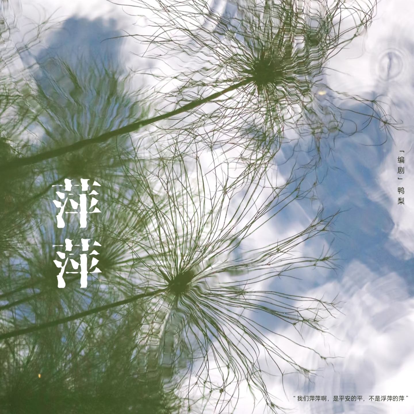 萍萍 - script cover