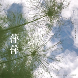 萍萍 - script cover