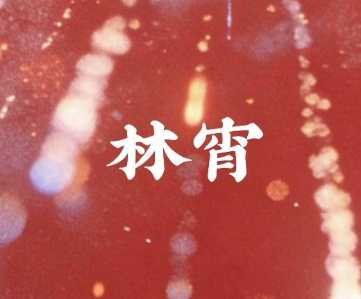 元宵 - 林宵 character avatar