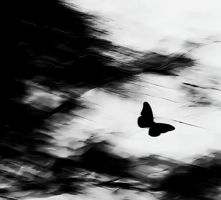 玄蝶 - script image 2